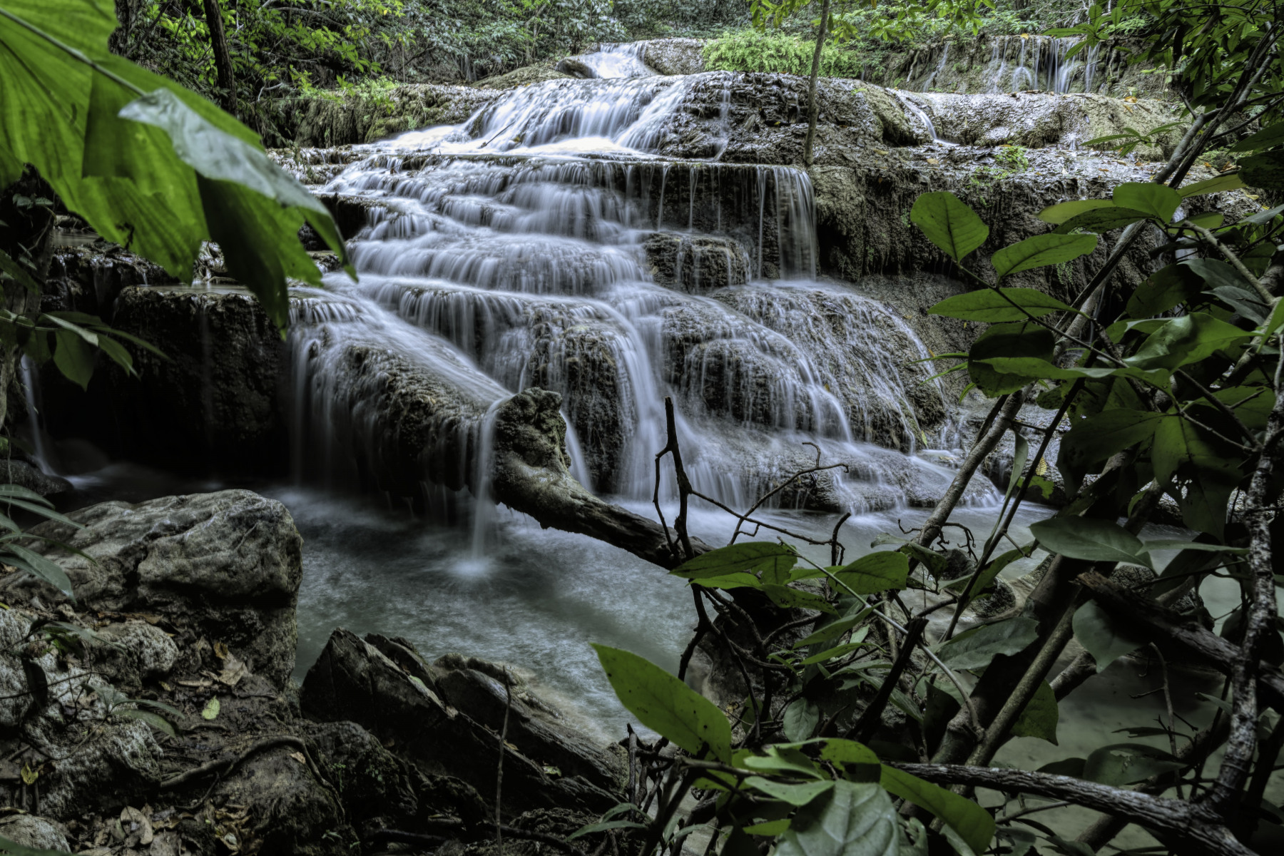 DSC03503 DSC03503